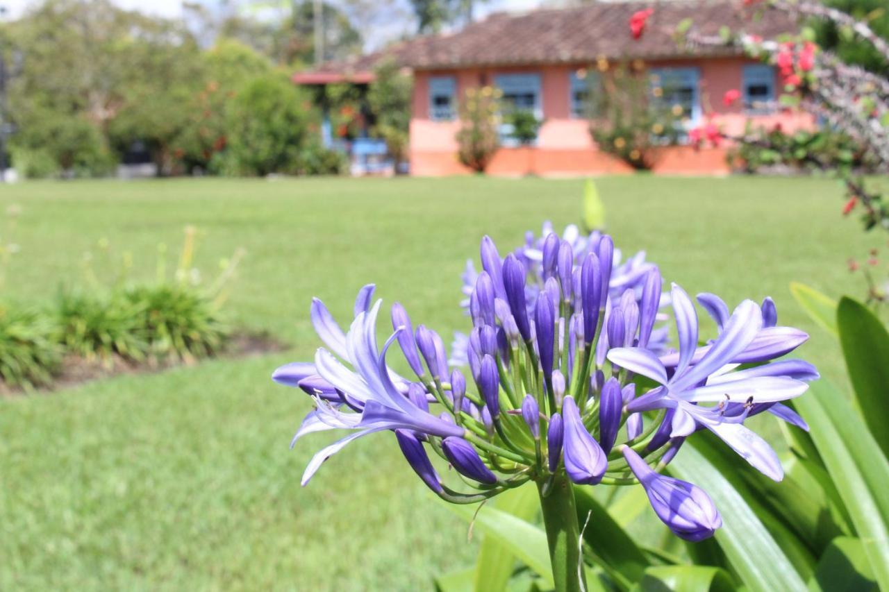 Ecohotel La Masia Llanogrande  外观 照片