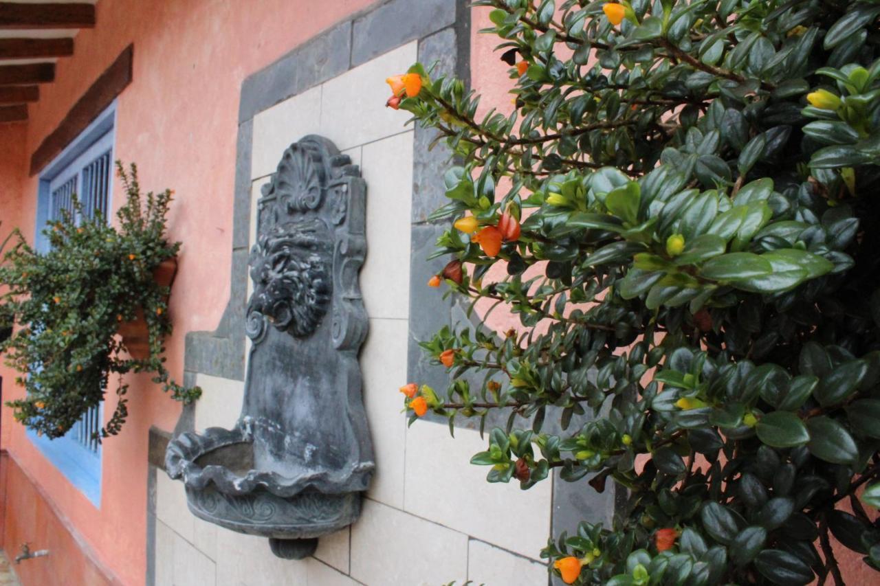 Ecohotel La Masia Llanogrande  外观 照片